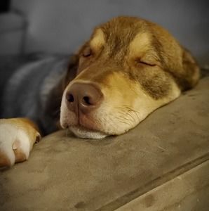 Meet your Posher, Meredith